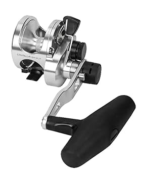Amazon | ゼニス(ZENITH) オクマ(Okuma) カバラ Tバーノブ